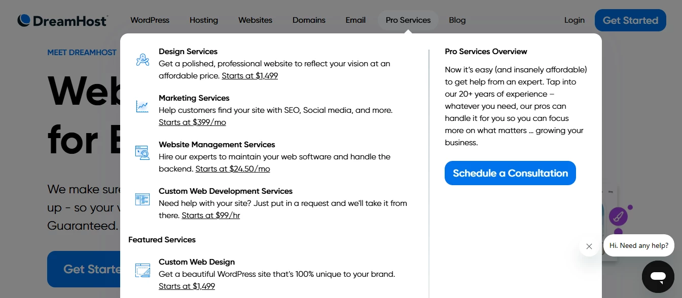 View of DreamHost's pro services