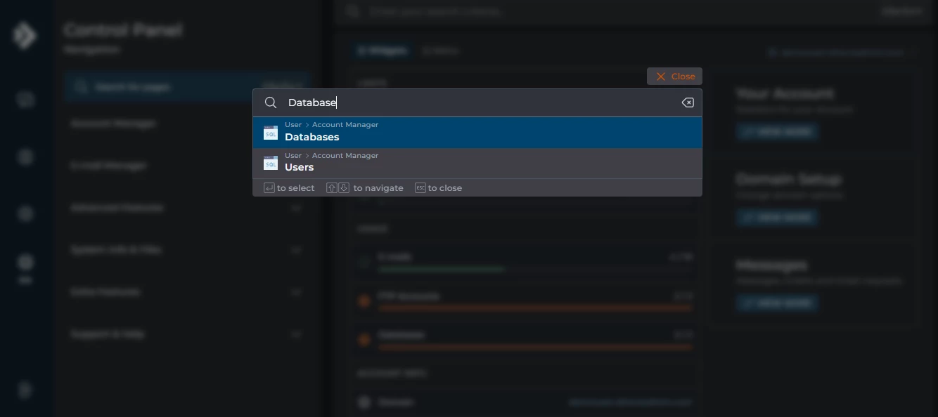 View of the search inside DirectAdmin