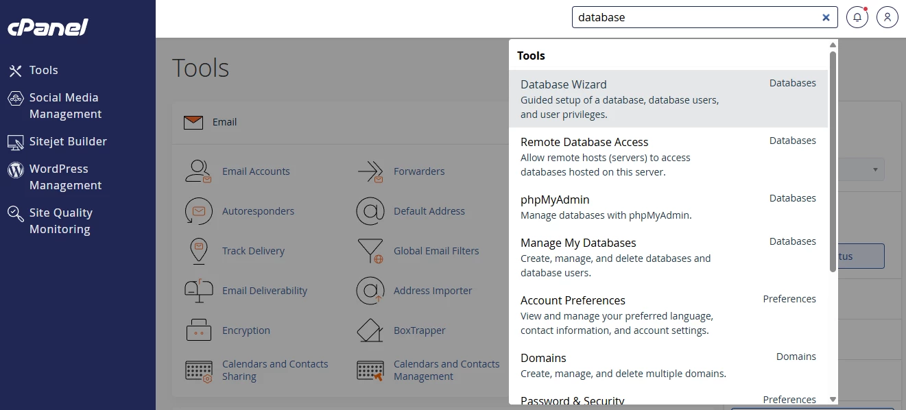 View of the search inside cPanel