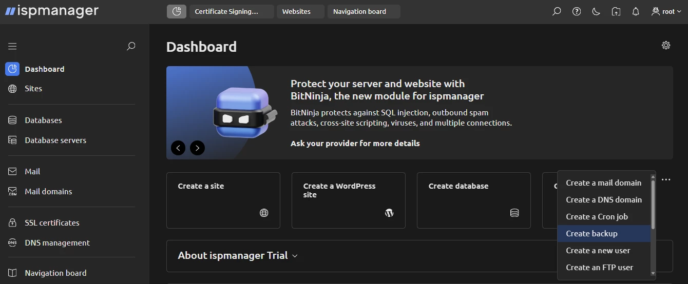 View of ispmanager Dashboard tasks