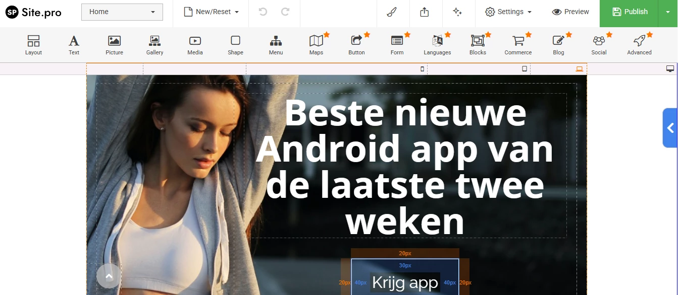 View of Site.pro in ispmanager