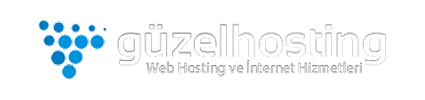guzelhosting